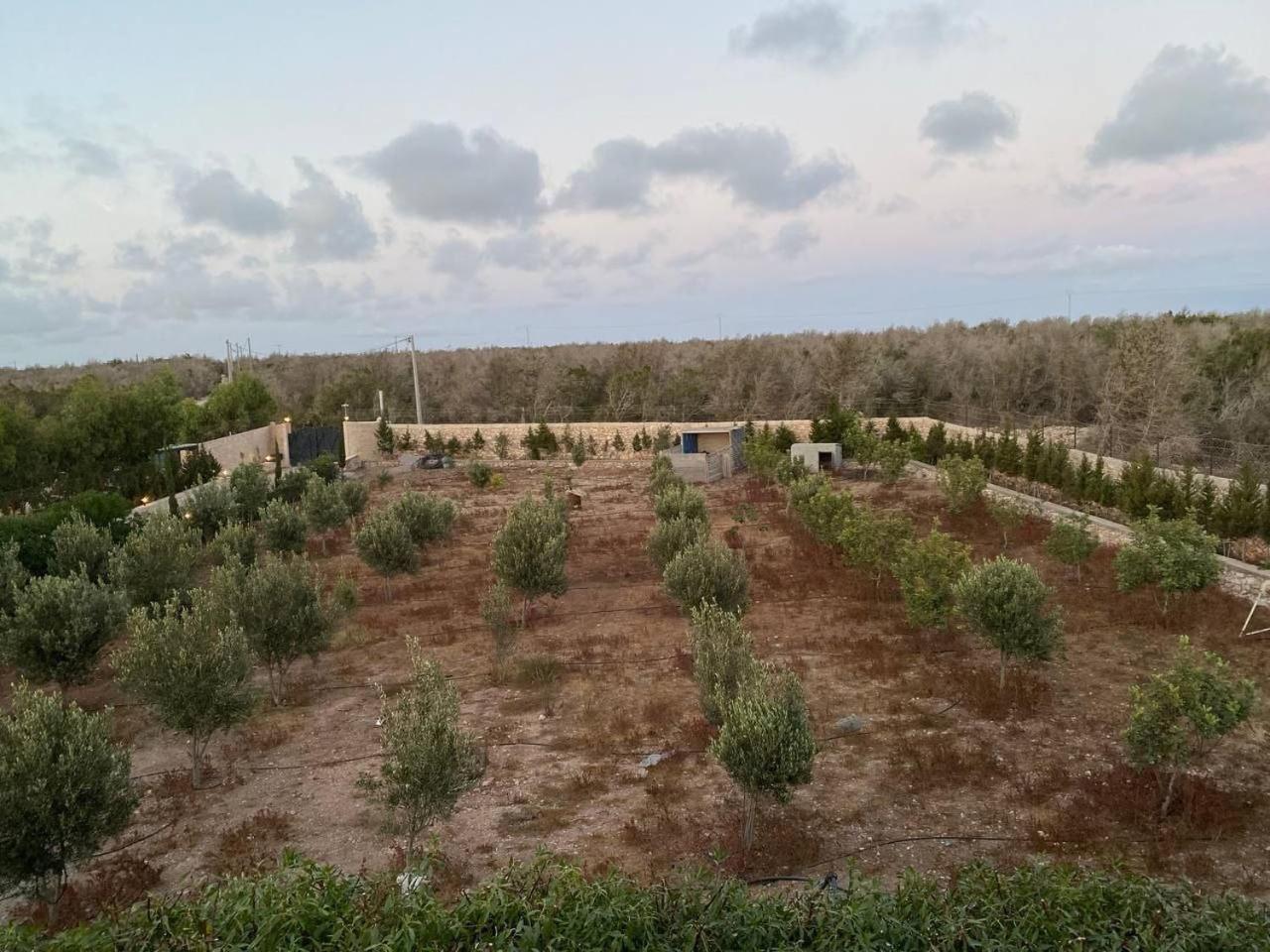 Villa Laarich Essaouira Esterno foto
